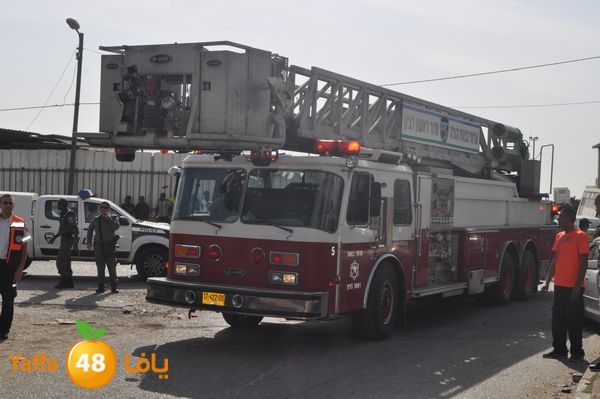 fireludkartoonmasna34 (41).JPG